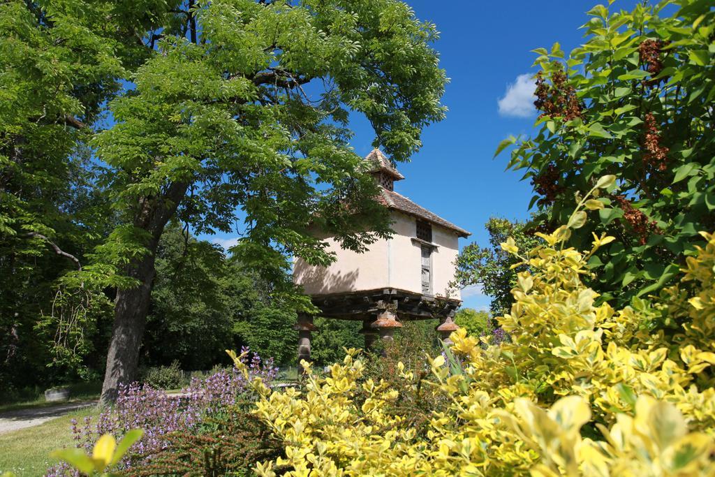 Chateau De Mayragues Castelnau-de-Montmiral Exterior photo