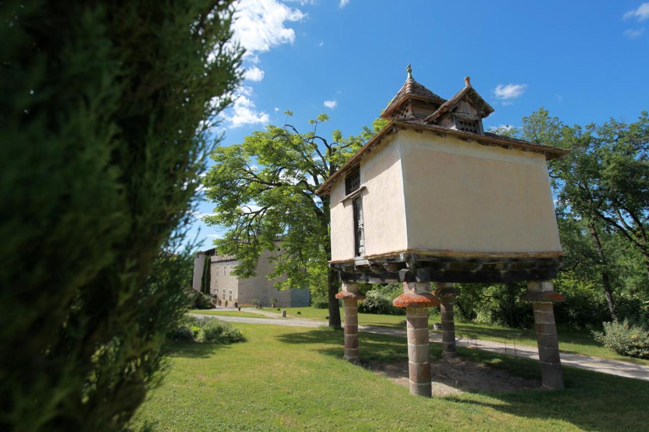 Chateau De Mayragues Castelnau-de-Montmiral Exterior photo